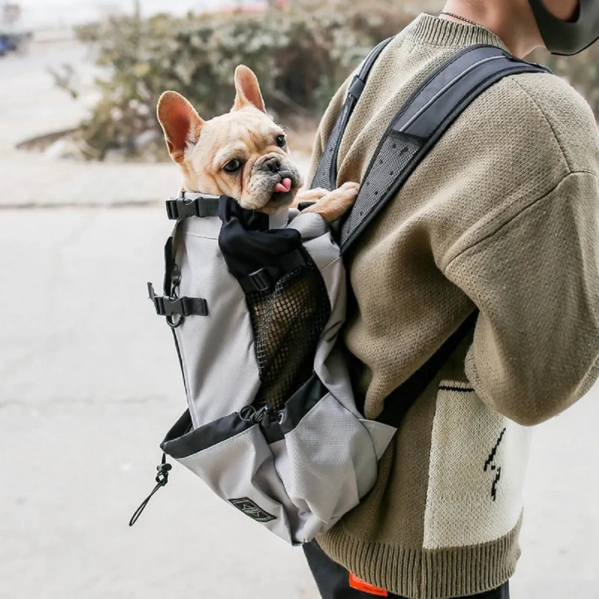 Dog Carrier Backpack for Most Dog Sizes