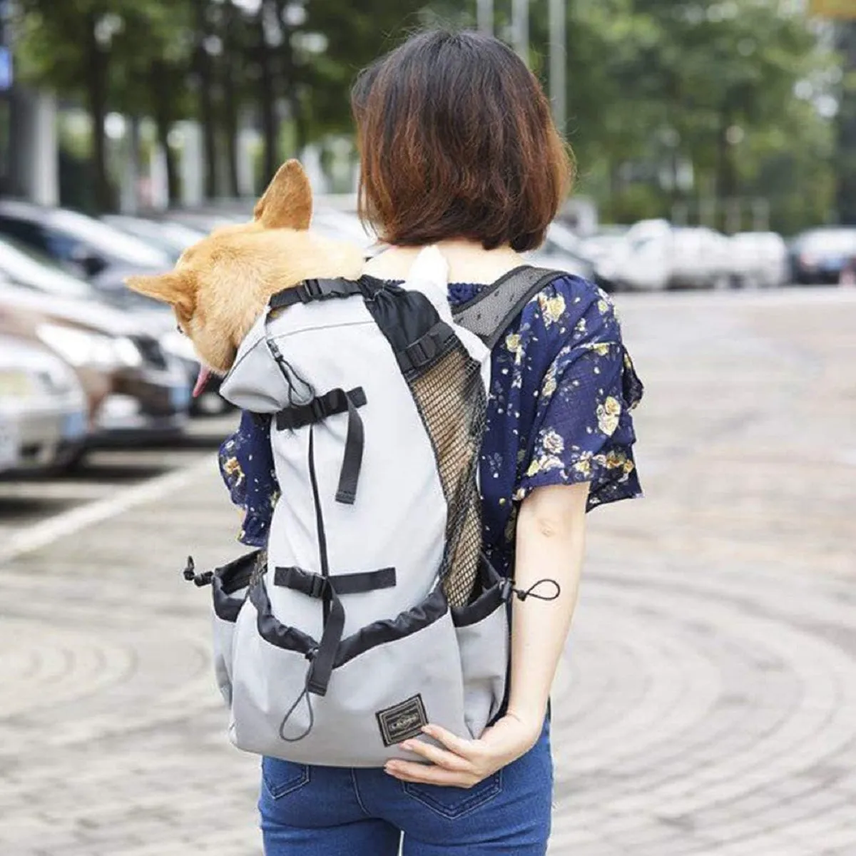 Dog Carrier Backpack for Most Dog Sizes