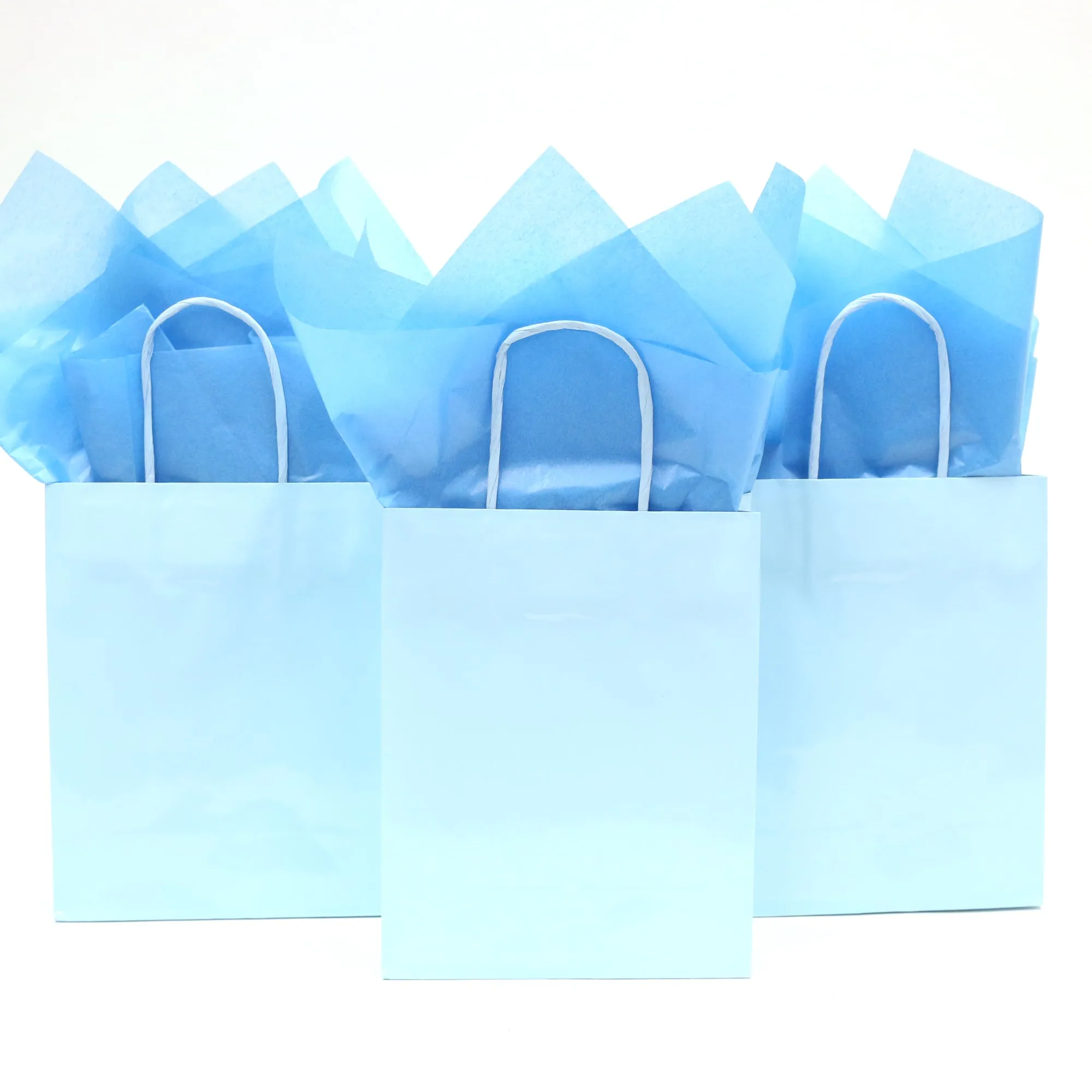 Euro Medium Pastel Blue Gift Bag