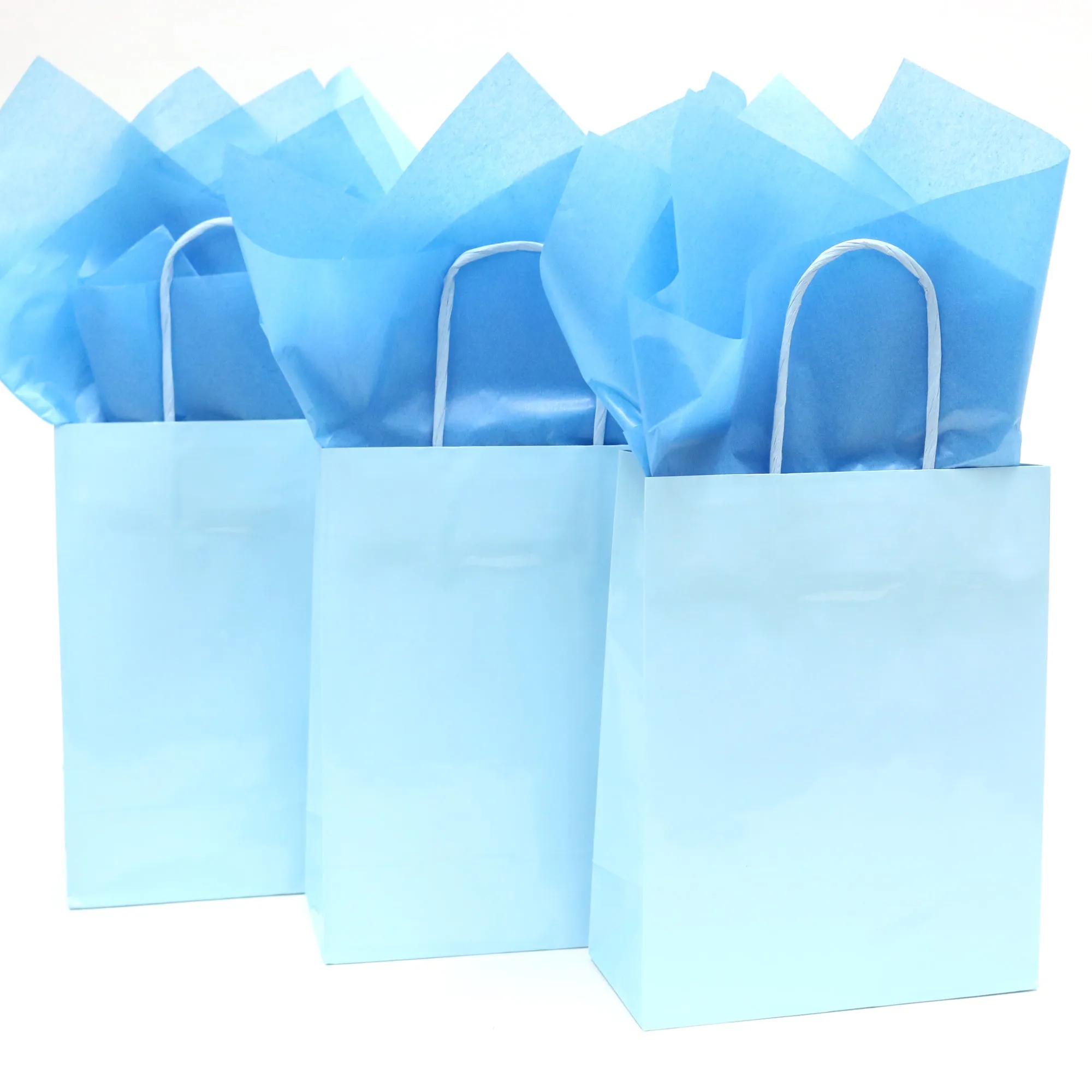 Euro Medium Pastel Blue Gift Bag