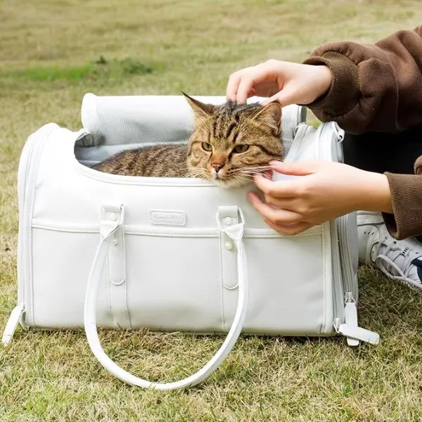 Foldable Enclosed Pet Carrier