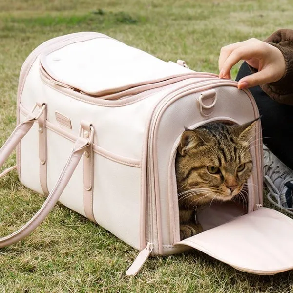 Foldable Enclosed Pet Carrier