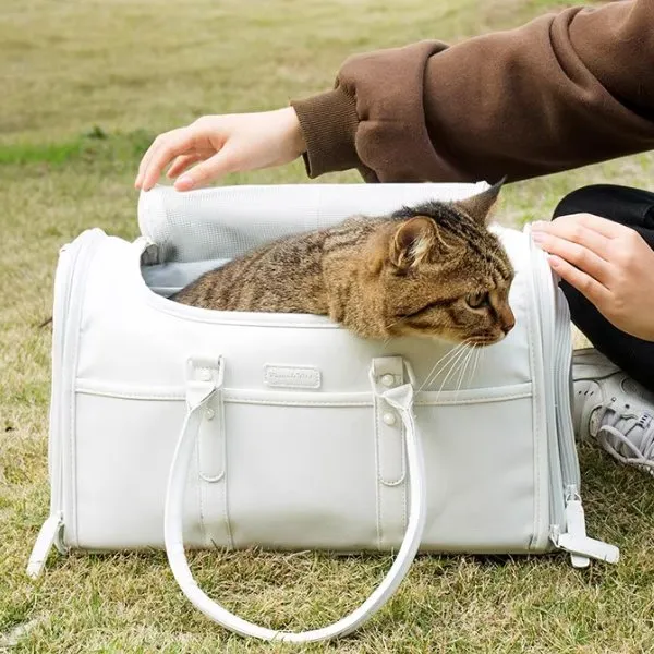 Foldable Enclosed Pet Carrier