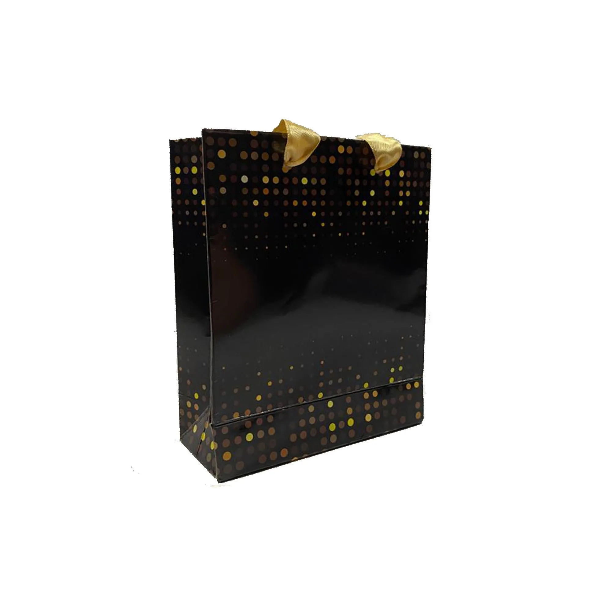 Glossy Laminated Silky Ribbon Handle Paper Bags