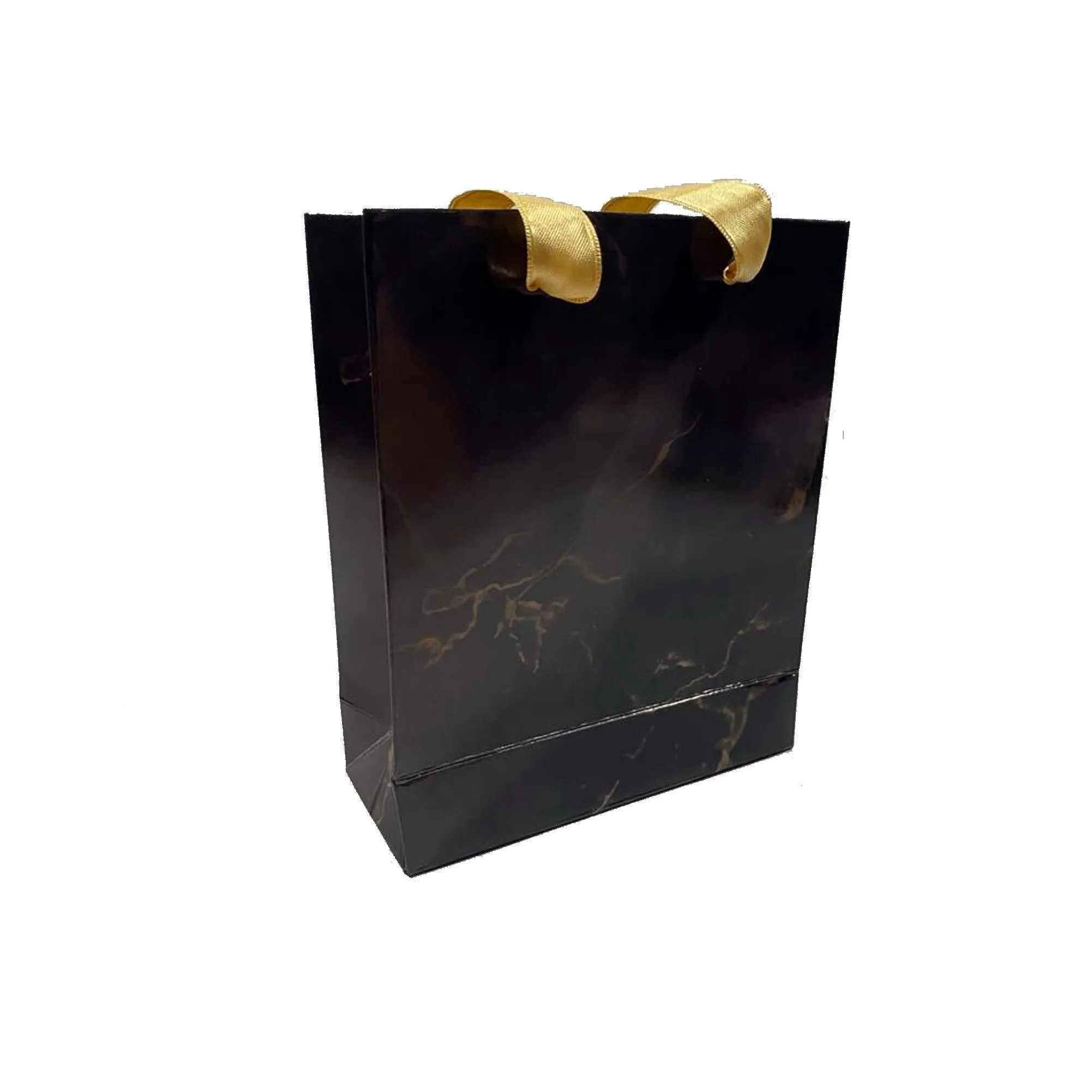 Glossy Laminated Silky Ribbon Handle Paper Bags