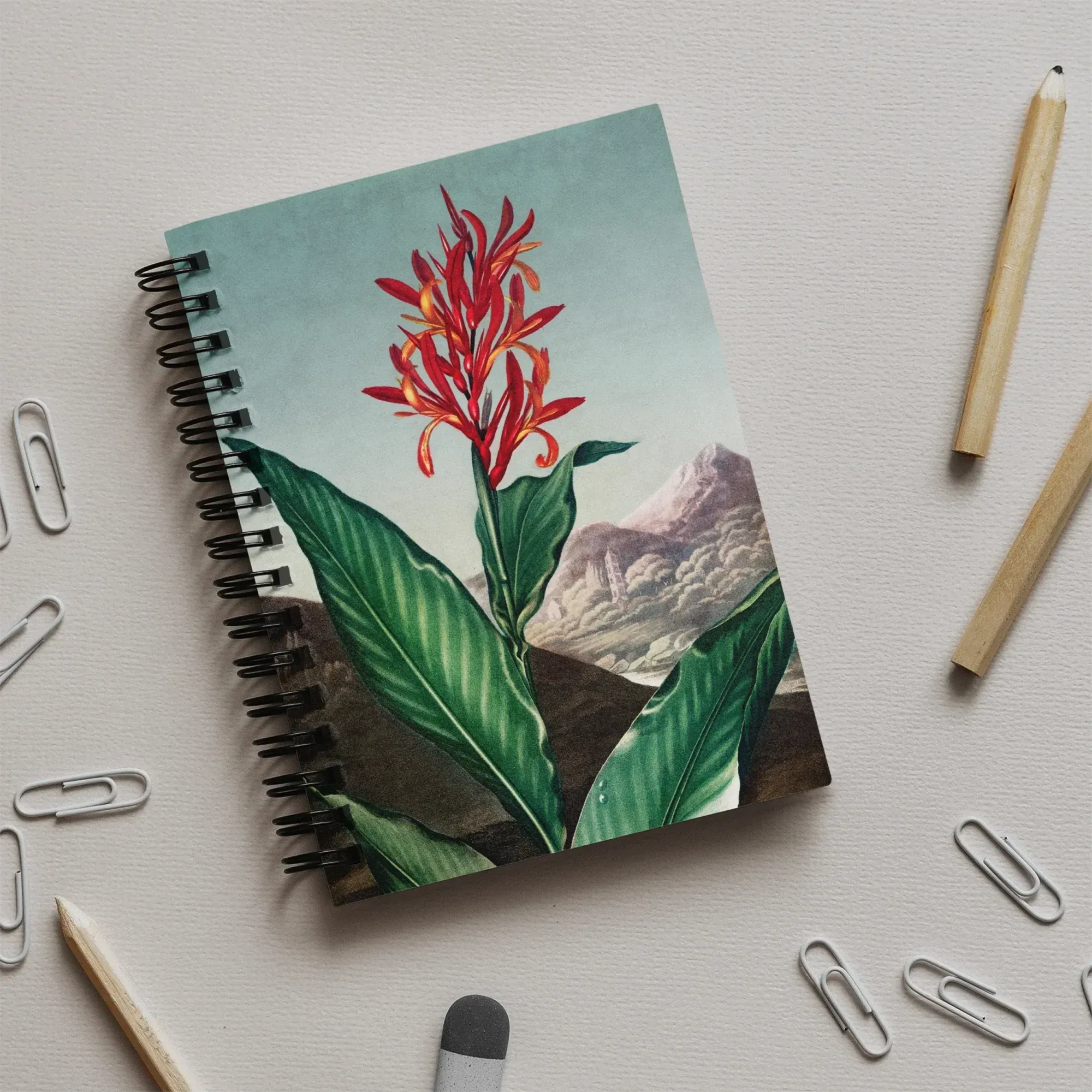 Indian Reed - Robert John Thornton Notebook