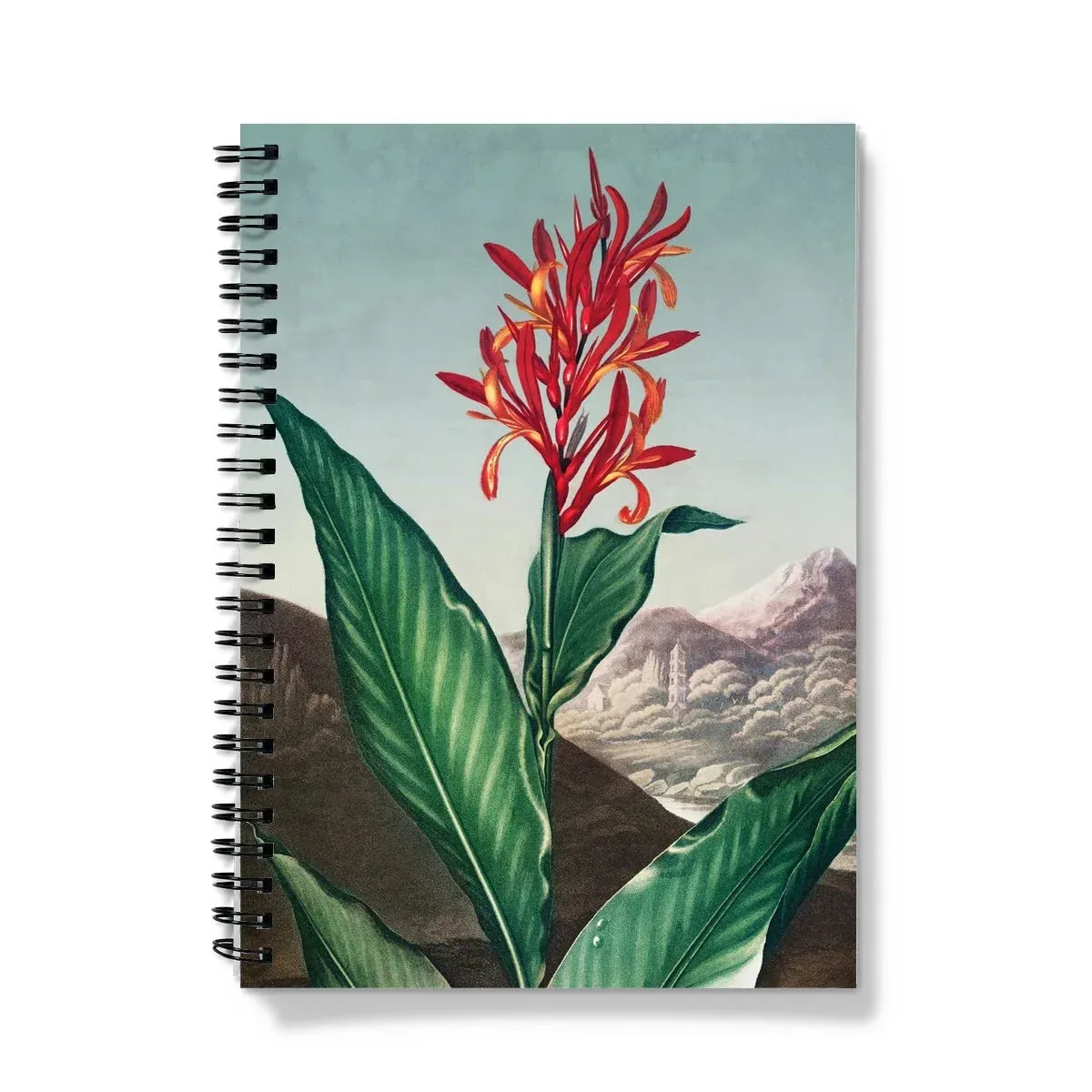 Indian Reed - Robert John Thornton Notebook