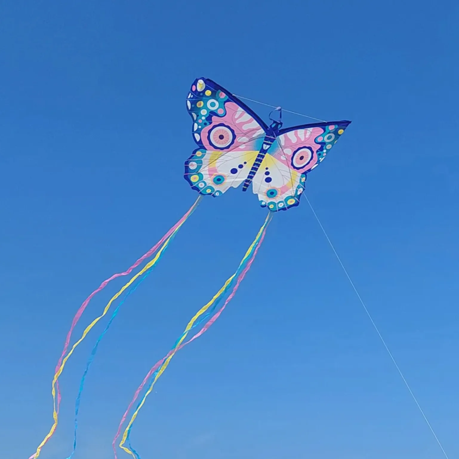 Maxi Butterfly Kite