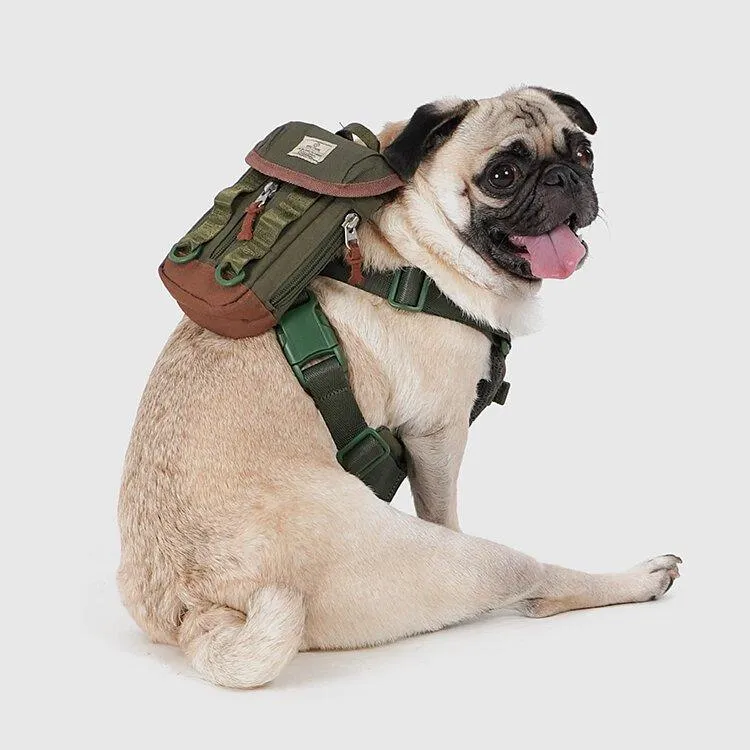 Multi-Function Dog Bag | Pet Self Carrier Backpack | Poop Bag Dispenser