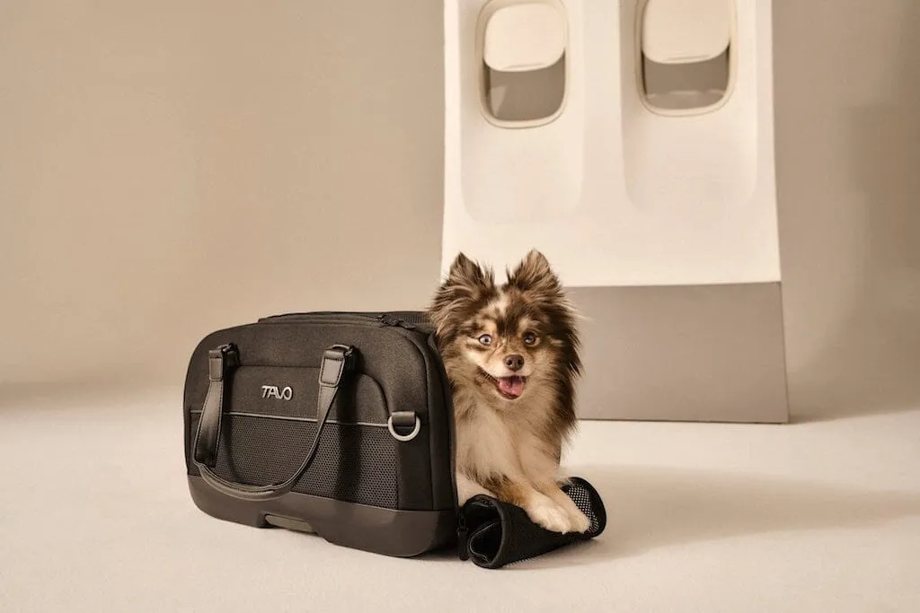 Tavo Pets Dupree II Airline Carry-on Pet Car Seat