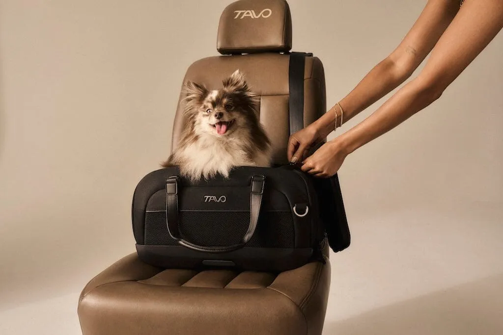 Tavo Pets Dupree II Airline Carry-on Pet Car Seat